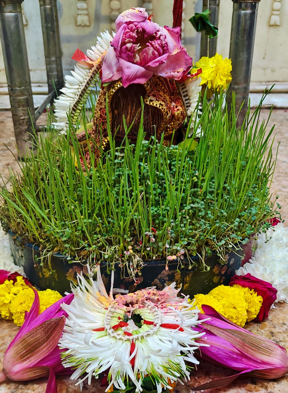 Mataji Darshan